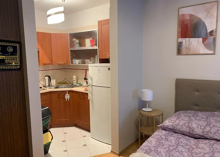 Samodzielne Wyposazone Mieszkanie ワルシャワ